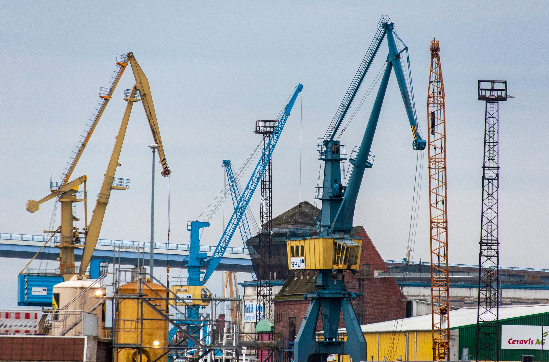 crane